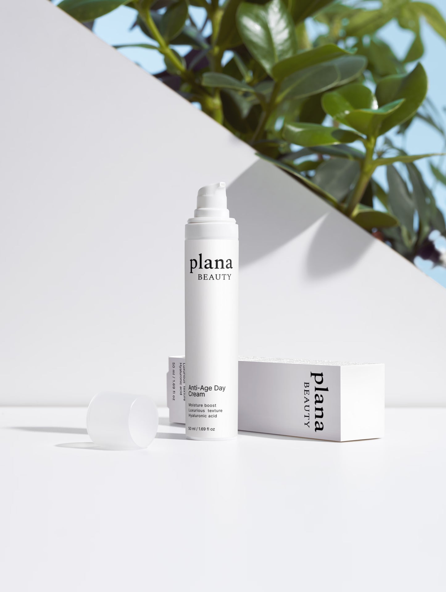 Anti-Aging Collection Box